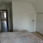 Vakantiewoning De Nachtegaal 度假居 *